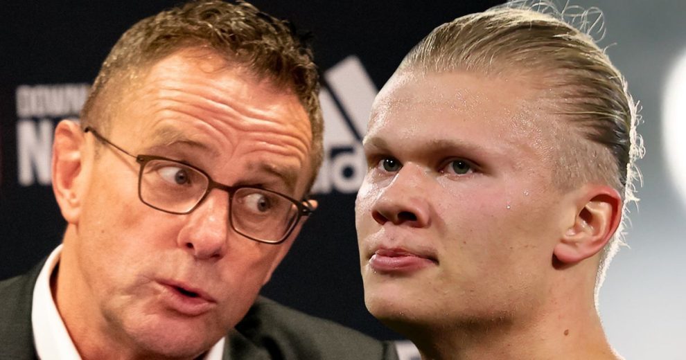 当你把马术 当你把马术